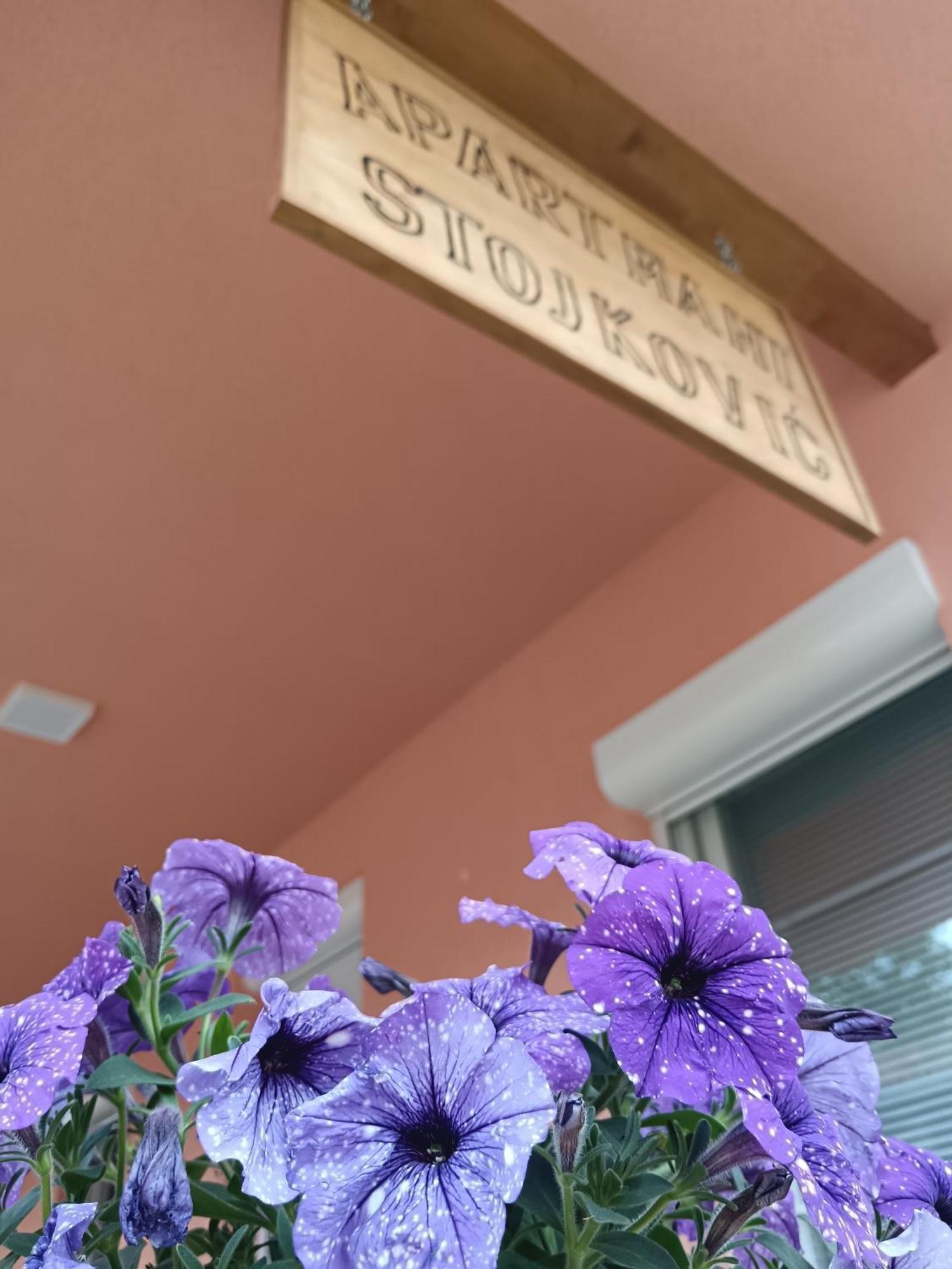 Stojkovic Apartment Vrdnik