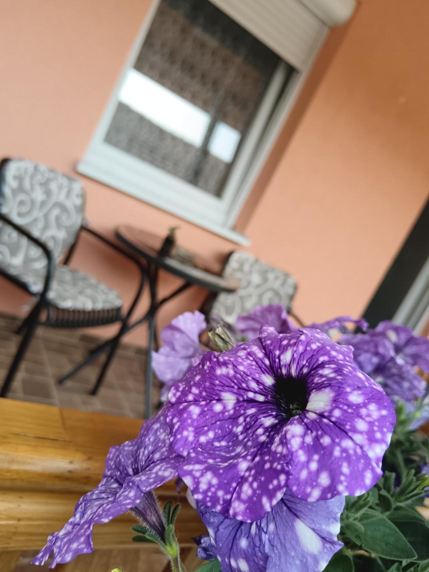 Apartment Stojkovic
